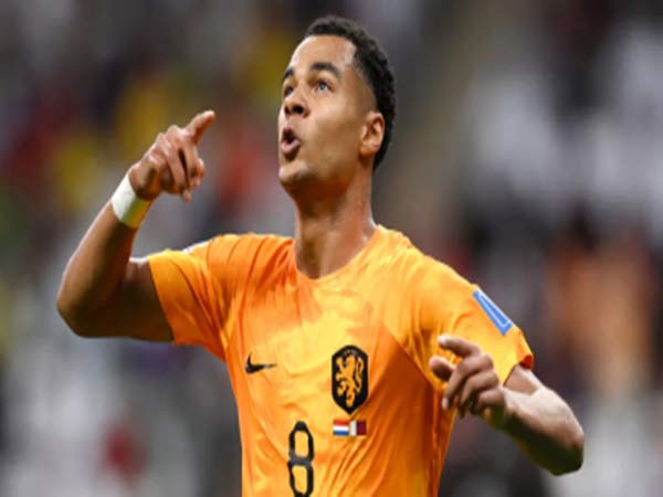Dự Đoán Kèo World Cup 2022: Đội Nào Sẽ Vào Chung Kết?