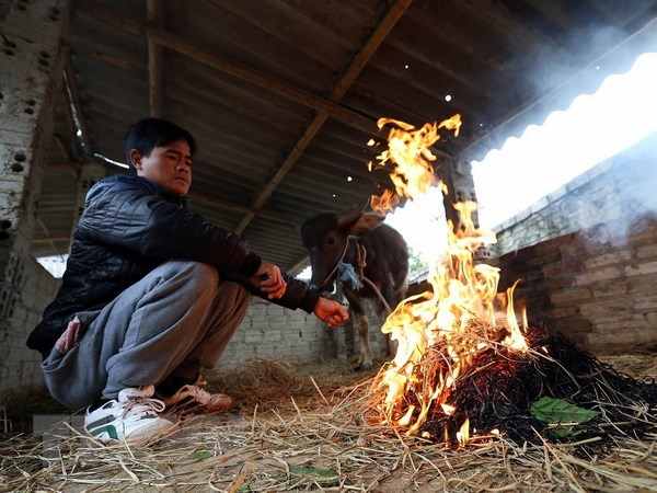 Nằm mơ thấy đốt lửa đánh con gì may mắn có điềm báo gì